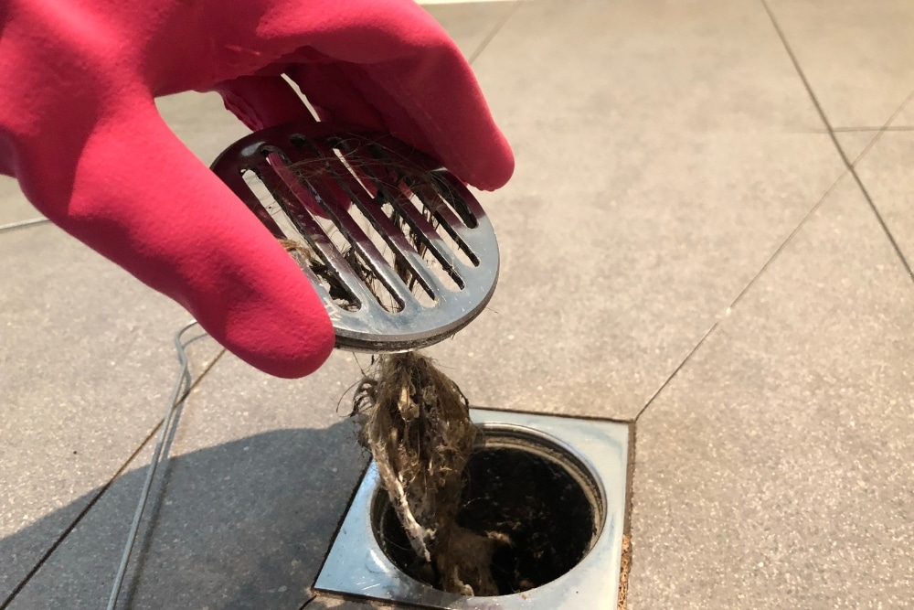 What Causes Smelly Drains? Blogs Apex Plumbing Services
