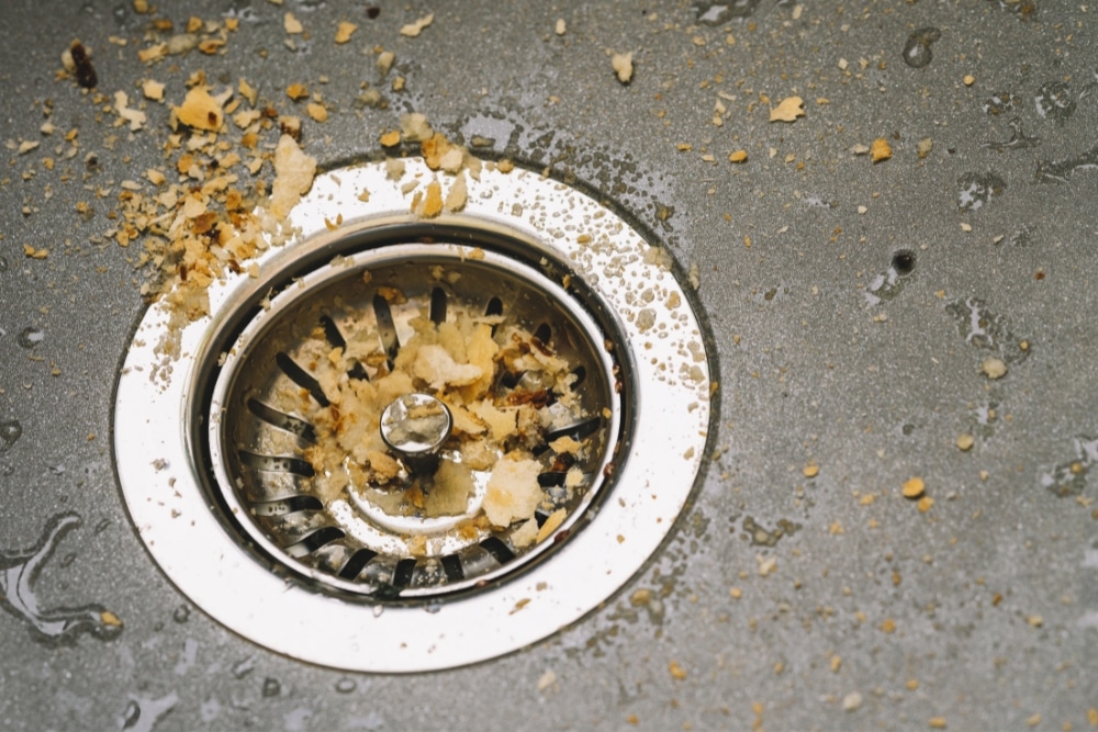 How to Clean a Smelly Drain? Blogs Apex Plumbing Services