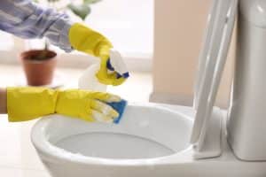 Image presents Common Things To Clean Smelly Toilets