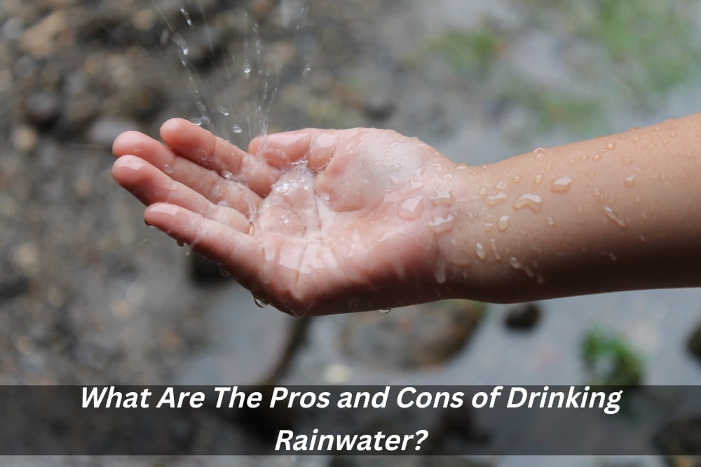 Image presents What Are The Pros and Cons of Drinking Rainwater