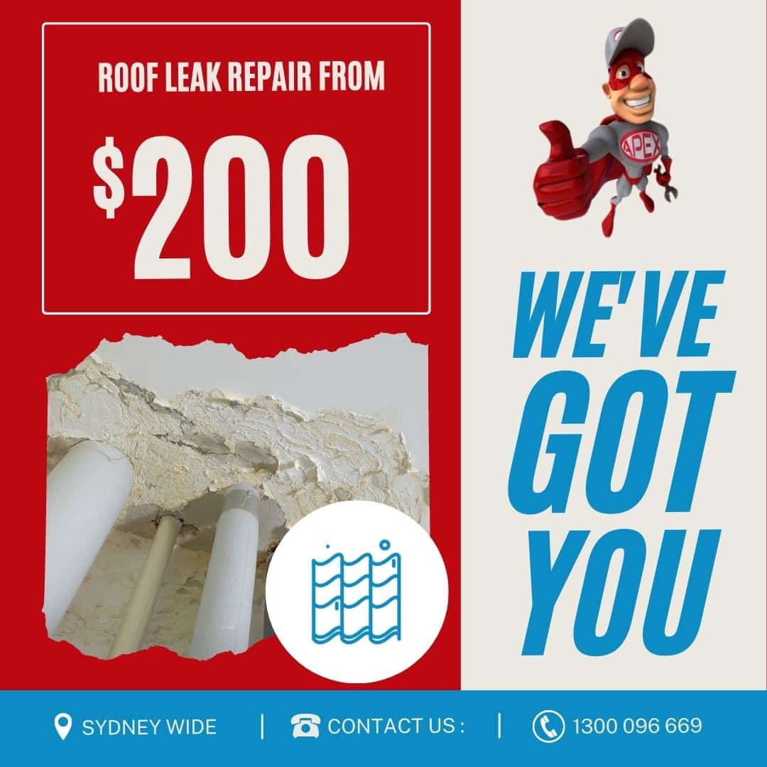 image presents Roof Leak Repair