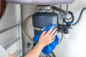 Image presents How can you prevent your garbage disposal from humming in the future